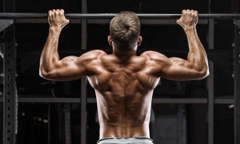 Best Back Exercises for Back Muscles
