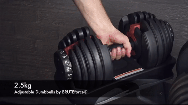 Home Gym Workout with Bowflex 552 Adjustable Dumbbell